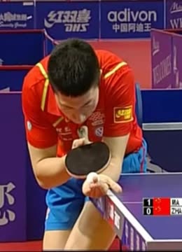 浙江队以2 浙江队以2